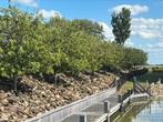 Breuksteen – ca. 120 kuub, Tuin en Terras, Grind, Keien en Split, Ophalen, Gebruikt, Overige materialen