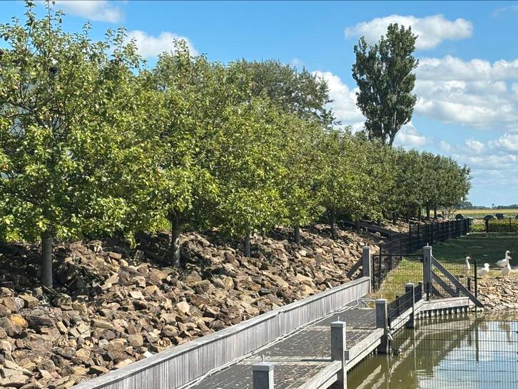 Breuksteen – ca. 120 kuub, Tuin en Terras, Grind, Keien en Split, Gebruikt, Overige materialen, Ophalen