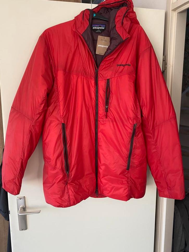 Patagonia mens DAS parka - Large - New with tags, Kleding | Heren, Jassen | Winter, Nieuw, Maat 52/54 (L), Groen, Ophalen of Verzenden