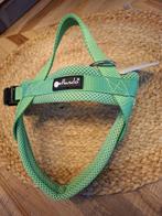 honden tuigje nieuw, Dieren en Toebehoren, Ophalen of Verzenden, Nieuw, Hondenriem