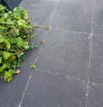 Tuintegels antraciet, Tuin en Terras, Tegels en Klinkers, Ophalen, Gebruikt, 10 m² of meer, Beton