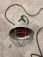 Warmtelamp Kuikens - Compleet met Armatuur, Dieren en Toebehoren, Pluimvee | Toebehoren, Ophalen of Verzenden, Gebruikt