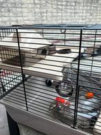 Hamsterkooi met diverse toebehoren, Dieren en Toebehoren, Kooi, Gebruikt, Minder dan 75 cm, Hamster