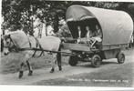 8835 Zorgvlied (Dr.) Paardensport Riko de Jong, Verzamelen, Ansichtkaarten | Nederland, Ophalen of Verzenden