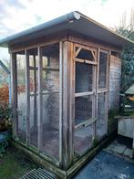 Duivenren, Dieren en Toebehoren, Vogels | Duiven, Meerdere dieren, Postduif