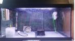 Te koop aquarium 60 x 30 x 30, Dieren en Toebehoren, Vissen | Aquaria en Toebehoren, Ophalen of Verzenden, Leeg aquarium