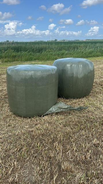 Midi balen voordroog - schapenvoer - kuil  beschikbaar voor biedingen