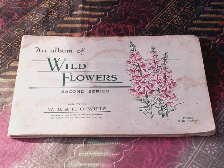 Wild flowers oud Engels album met sigarettenplaatjes., Antiek en Kunst, Antiek | Woonaccessoires, Ophalen of Verzenden