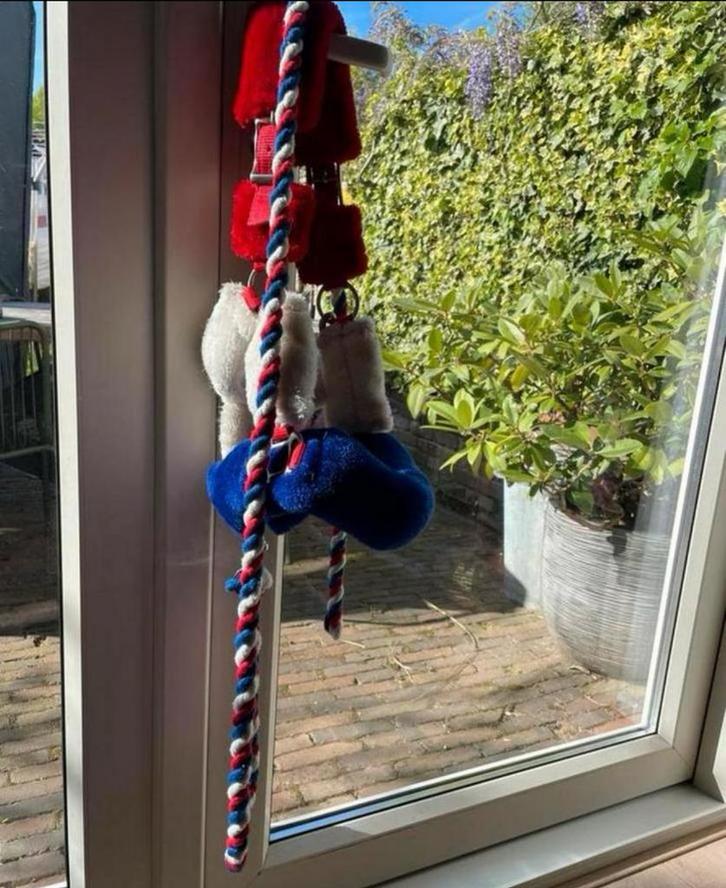Mooi bont halster, Dieren en Toebehoren, Paarden en Pony's | Hoofdstellen en Tuigage, Nieuw, Overige soorten, Ophalen of Verzenden