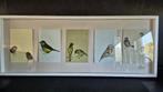 Ikea Olunda schilderij Vogels, ingelijst. 100 x 40 cm. S46, Tweedehands verkoop, Tweedehands verkoop, Minder dan 50 cm, Gebruikt