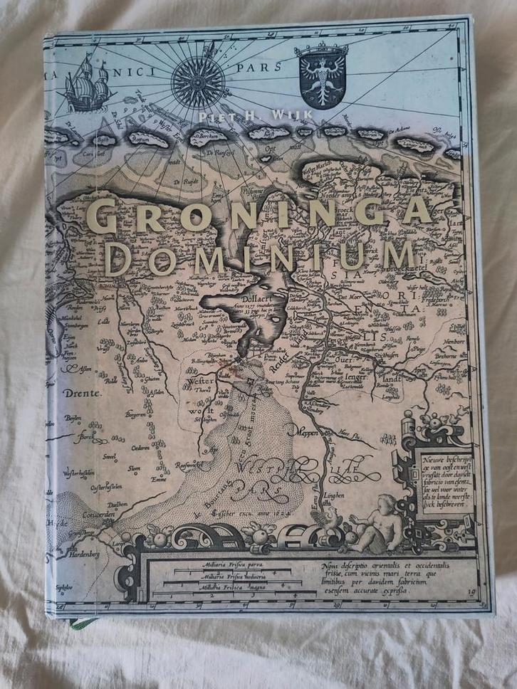 Groninga dominium - Piet H Wijk, Boeken, Geschiedenis | Stad en Regio, Zo goed als nieuw, Ophalen of Verzenden