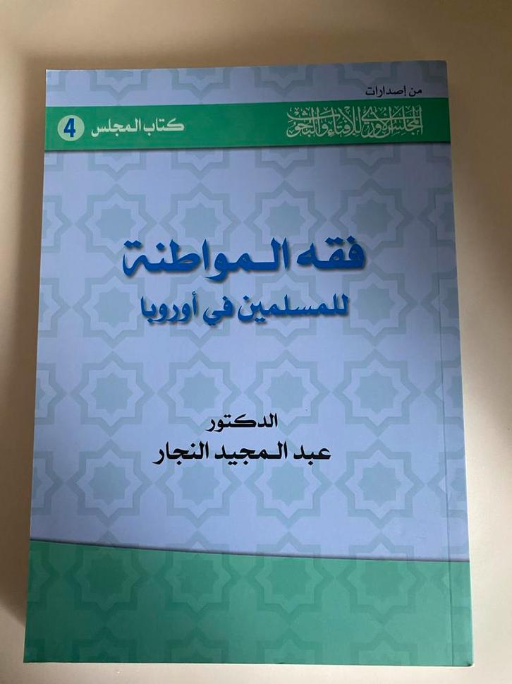 Islamitische Theologie Boeken - Europa Focus, Boeken, Godsdienst en Theologie, Gelezen, Islam, Ophalen of Verzenden