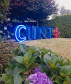 Schattige muurtekst in blauwe neon / neonsign, Ophalen, Gebruikt