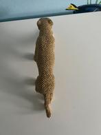 ‘Gouden’ tijger, Ophalen of Verzenden