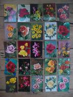 60 Vintage bloemenkaarten. Van Harte Beterschap., Ophalen of Verzenden, Zo goed als nieuw