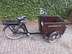 Babboe Dog electrische bakfiets, Elektrisch, Zo goed als nieuw, 2 kinderen, Ophalen