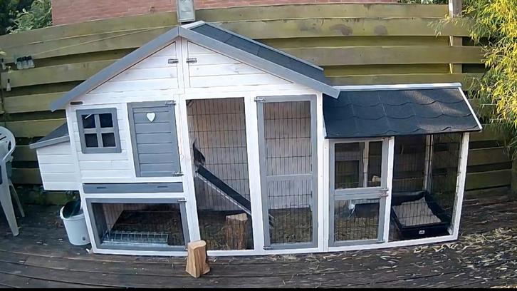 Kippenhuis met toebehoren, Dieren en Toebehoren, Vogels | Hokken en Kooien, Hout, Ophalen