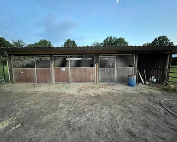 Paardenstal beschikbaar voor biedingen