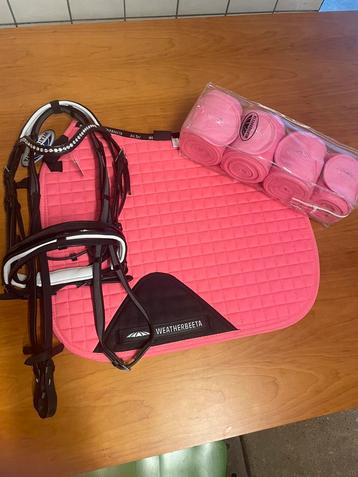 Trainingsset pony beschikbaar voor biedingen