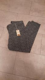 Nieuwe  broek  48, Kleding | Dames, Grote Maten, Zwart, Nieuw, Ophalen of Verzenden, Broek of Spijkerbroek