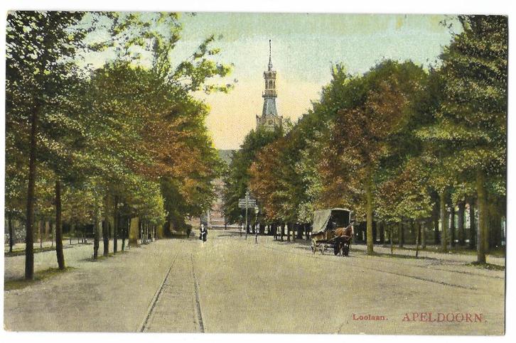 Apeldoorn, Loolaan. Tulpkaart. Opruimingskaart, Verzamelen, Ansichtkaarten | Nederland, Gelopen, Gelderland, Voor 1920, Verzenden