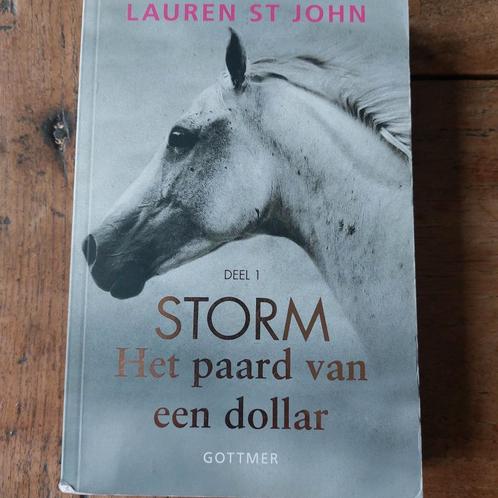 Lauren St John - Het paard van een dollar, Boeken, Kinderboeken | Jeugd | 10 tot 12 jaar, Zo goed als nieuw, Ophalen of Verzenden