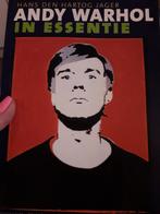 Andy warhol in essentie auteur: hans den hartog jager, Ophalen of Verzenden, Gelezen, Schilder- en Tekenkunst