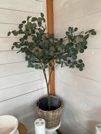 Ikea fejka olijfplant, Ophalen, Zo goed als nieuw