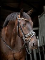 HB Showtime hoofdstel cob rose goud, Ophalen of Verzenden, Zo goed als nieuw