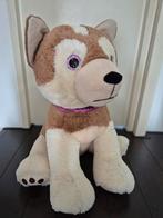 XL knuffel hond 80cm, Ophalen of Verzenden, Zo goed als nieuw, Hond