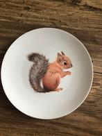 Wandbord Wonder Wall met eekhoorn, Ophalen of Verzenden