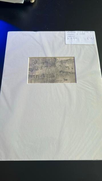 Gerard Lutz potlood “Eend in vijver” beschikbaar voor biedingen