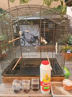 Vogelkooi te koop, Dieren en Toebehoren, Vogels | Parkieten en Papegaaien, Mannelijk, Parkiet