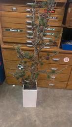 Kunstboom in Pot - Riviera maison, Ophalen, Zo goed als nieuw, Binnen