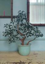 Vintage/ antiek/ brocante Chinees glazen bonsai boom, Ophalen, Zo goed als nieuw