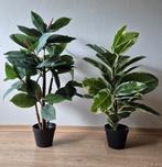 2 kunstplanten Ficus Elastica/ Rubberplant 85cm en 80cm, Ophalen of Verzenden, Zo goed als nieuw
