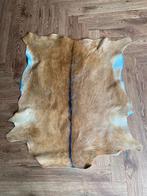 Dierenhuid / Koeienhuid - 90x70 cm, Gebruikt, Wit, Overige vormen, 50 tot 100 cm