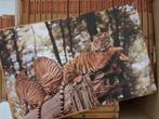 Encyclopedie - De Geheimen Van Het Dierenrijk - 34 boeken!, Ophalen, Complete serie, Hanny Mensing &Mario Nilo, Nieuw