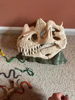 Schleich Dino Skelet, Slangetjes & Puma, Overige materialen, Overige kleuren, Minder dan 4 cm, Ophalen of Verzenden