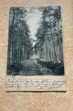 Amersfoort Loekhorsterbosch met lezende persoon, Ophalen of Verzenden, Voor 1920, Gelopen, Utrecht