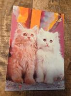 Twee lichtkleurige fluffy katjes, Verzenden, 1980 tot heden, Gelopen, Hond of Kat
