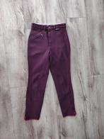 Prachtige paarse paardrijbroek van Euro-star, 38. Rijbroek., Dieren en Toebehoren, Paardrijkleding, Dressuur, Onb, Onb, Dames