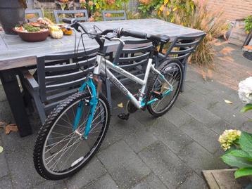 Vertical - Edge Runner Mountainbike Fiets beschikbaar voor biedingen