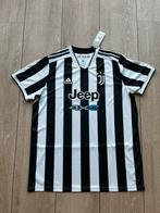Nieuw origineel Juventus shirt, maat XL, Met kaartjes, Maat XL, Ophalen of Verzenden, Nieuw, Shirt