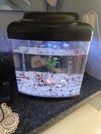 Aquarium inclusief posthoornslakken., Dieren en Toebehoren, Vissen | Aquaria en Toebehoren, Ophalen, Zo goed als nieuw, Gevuld zoetwateraquarium