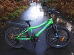 Mooie groene 20 inch Volare mountainbike met 7 versnellingen, Gebruikt, Versnellingen, Niet ingevuld, Volare
