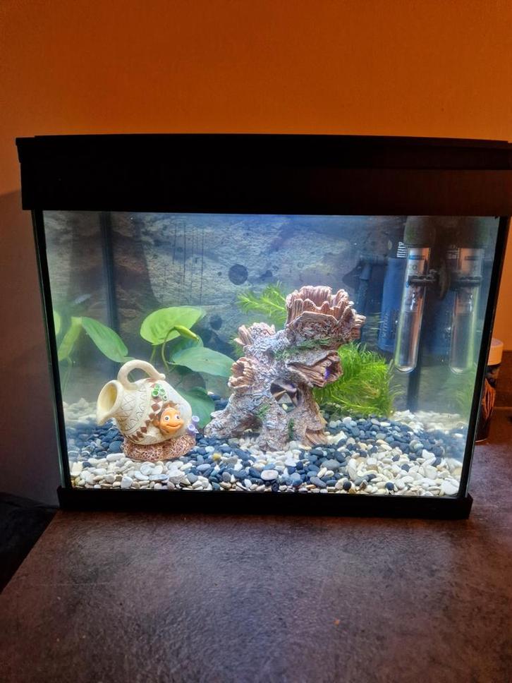 De SuperFish Aqua 20 LED, Dieren en Toebehoren, Vissen | Aquaria en Toebehoren, Leeg aquarium, Ophalen