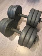 Verstelbare dumbells 2x10kg, Ophalen, Zo goed als nieuw, Dumbbell