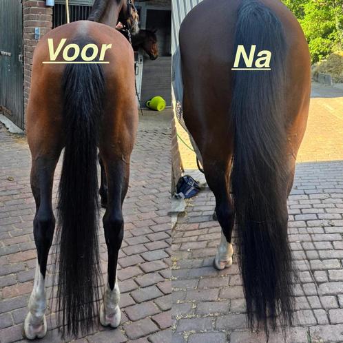 Extensions paard, Dieren en Toebehoren, Paarden en Pony's | Verzorgingsproducten, Nieuw, Ophalen of Verzenden