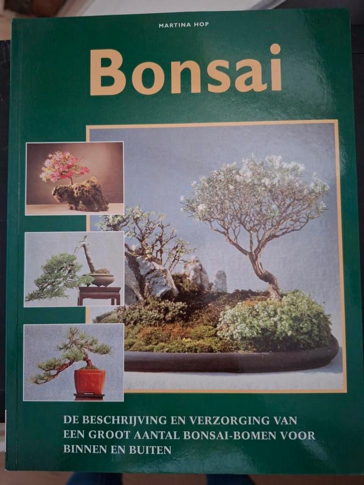 Bonsai door Martina Hop - Leer Bonsai kweken!, Boeken, Hobby en Vrije tijd, Gelezen, Overige onderwerpen, Ophalen of Verzenden